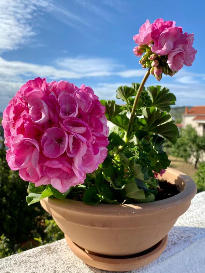 Apartman Bartol Betina  Εξωτερικό φωτογραφία